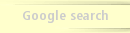Google search